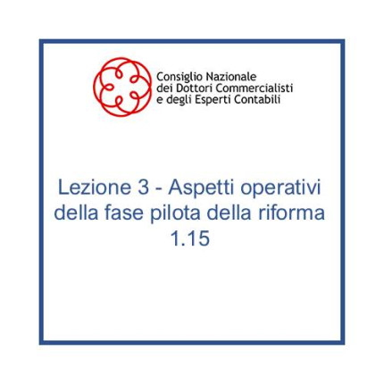 Lezione 3 - Aspetti operativi della fase pilota della riforma 1.15