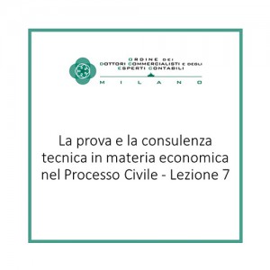 La prova e la consulenza tecnica in materia economica nel Processo Civile - Lezione 7