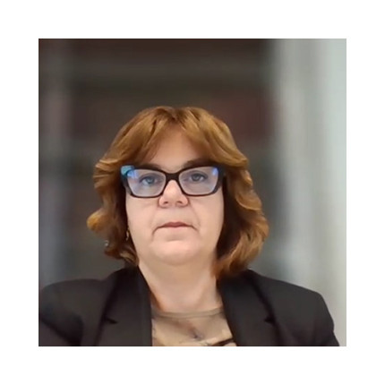 2. Introduzione ai nuovi principi di revisione internazionali (ISA Italia)