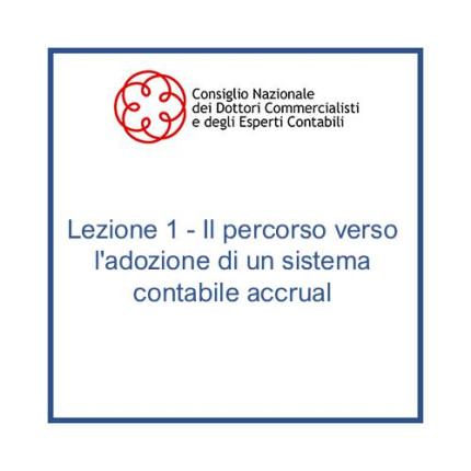 Lezione 1 - Il percorso verso l'adozione di un sistema contabile accrual