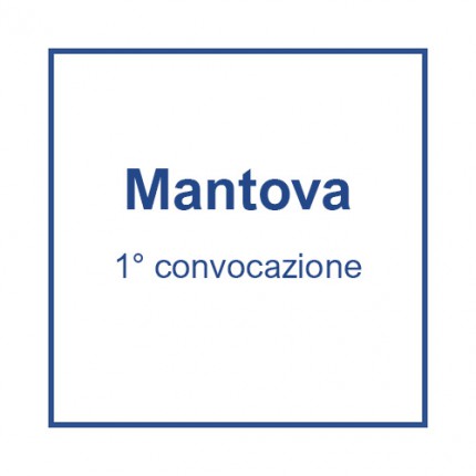 Mantova (1° convocazione) - 29 aprile, ore 7