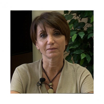 2.2 L'accesso alla professione: il tirocinio professionale 2.2 L'accesso alla professione: il tirocinio professionale
